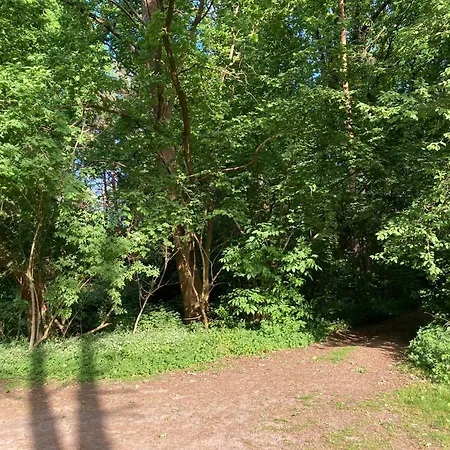 別荘 Gemuetliches Am See, Privater Steg, Bei Berlin